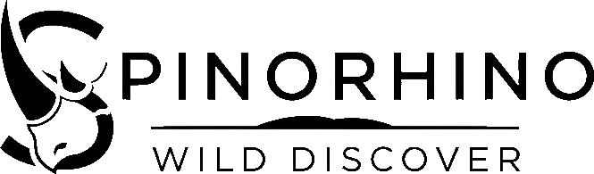 Spinorhino